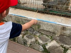 -南京金牛湖风景区