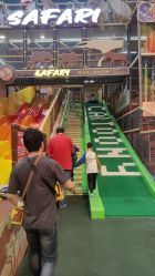 -卡通尼·Safari非洲探索乐园·生日会(金桥国际商业广场店)