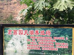 -茗荔园农庄(大涌店)