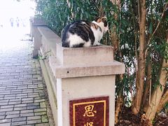 -华东政法大学(松江校区)