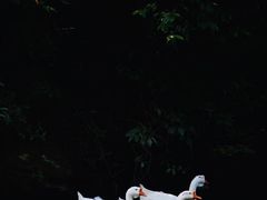 -周洛大峡谷