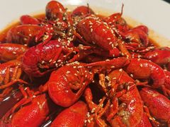 -三强鸽子(中原路店)