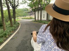 -宜兴龙背山森林公园