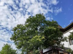 -香山公园