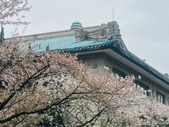 -武汉大学-樱园