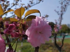 -白塘生态植物园