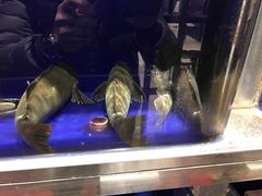 -頂好酒家·经典粤菜(海信广场店)