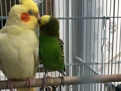 -拾壹cafe·工作室