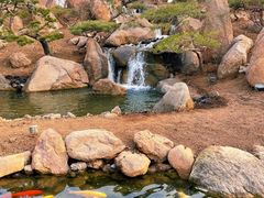 -罗红摄影艺术馆