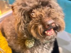 -My Way Town买味堂·东南亚餐厅(亦庄店)