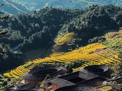 -南靖田螺坑土楼群景区