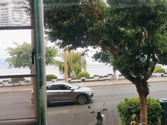 -野菌皇海景野生菌火锅(滨海大道店)