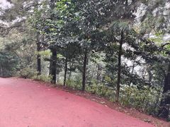 -敬亭山风景名胜区