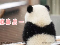 -帝京日语(春熙路旗舰校区)