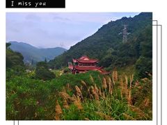 -上海青龙寺