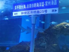 -常州海昌海洋探索馆