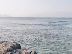 -杨梅坑