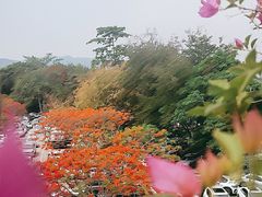 -中国科学院西双版纳热带植物园