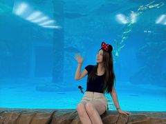 -香港海洋公园
