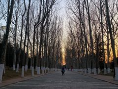 -青岛海滨风景区