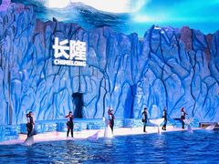 -珠海长隆海洋王国