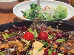 -老板恋上鱼(恒隆广场店)