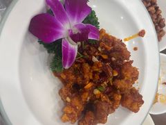 -贵宾庄炸酱面·韩式料理(高区店)
