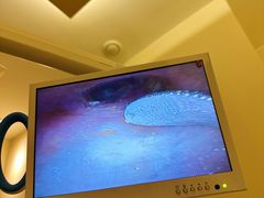 -手舒·采耳按摩·影院足道spa(莫愁湖东路店)
