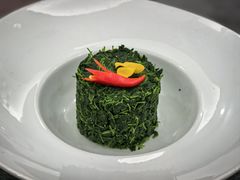 -丁老爷子苏香圆