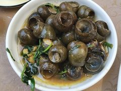 -遇龙河大樟树农家乐