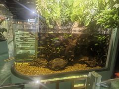 -上海大自然野生昆虫馆(东方明珠·爬宠昆虫探索中心)