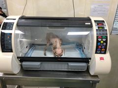 -康乐宝动物医院