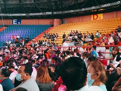 -俄罗斯国家大马戏团