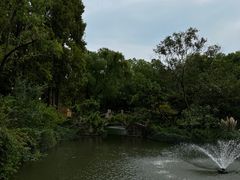 -上海醉白池公园