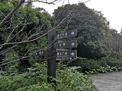 -南山植物园