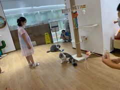 -1013 PET SHOP精品宠物商店(丁香店)