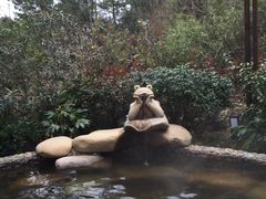 -天目湖涵田半山温泉