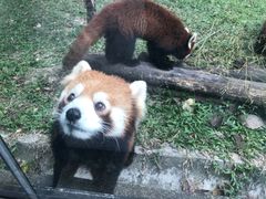 -东部华侨城