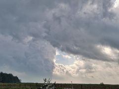 -北海金海湾红树林生态旅游区