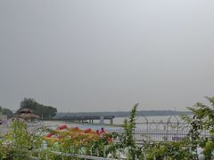 -武清南湖绿博园
