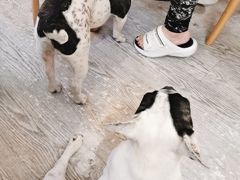 -小时光咖啡馆(北锣鼓巷店)