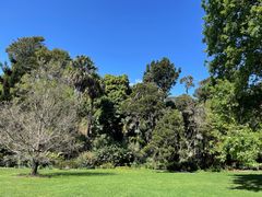 -墨尔本皇家植物园