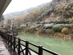 -梦娜斯庄园