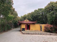 -雨花胜境
