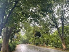 -敬亭山风景名胜区