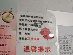 -老袁家蜜桃农场·阳山水蜜桃