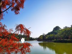 -南国桃园旅游度假区