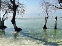 -捞渔河湿地公园