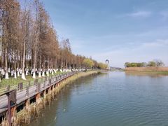 -太湖湖滨国家湿地公园-停车场
