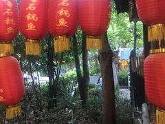 -抚仙湖生态石锅鱼野生菌(告庄店)